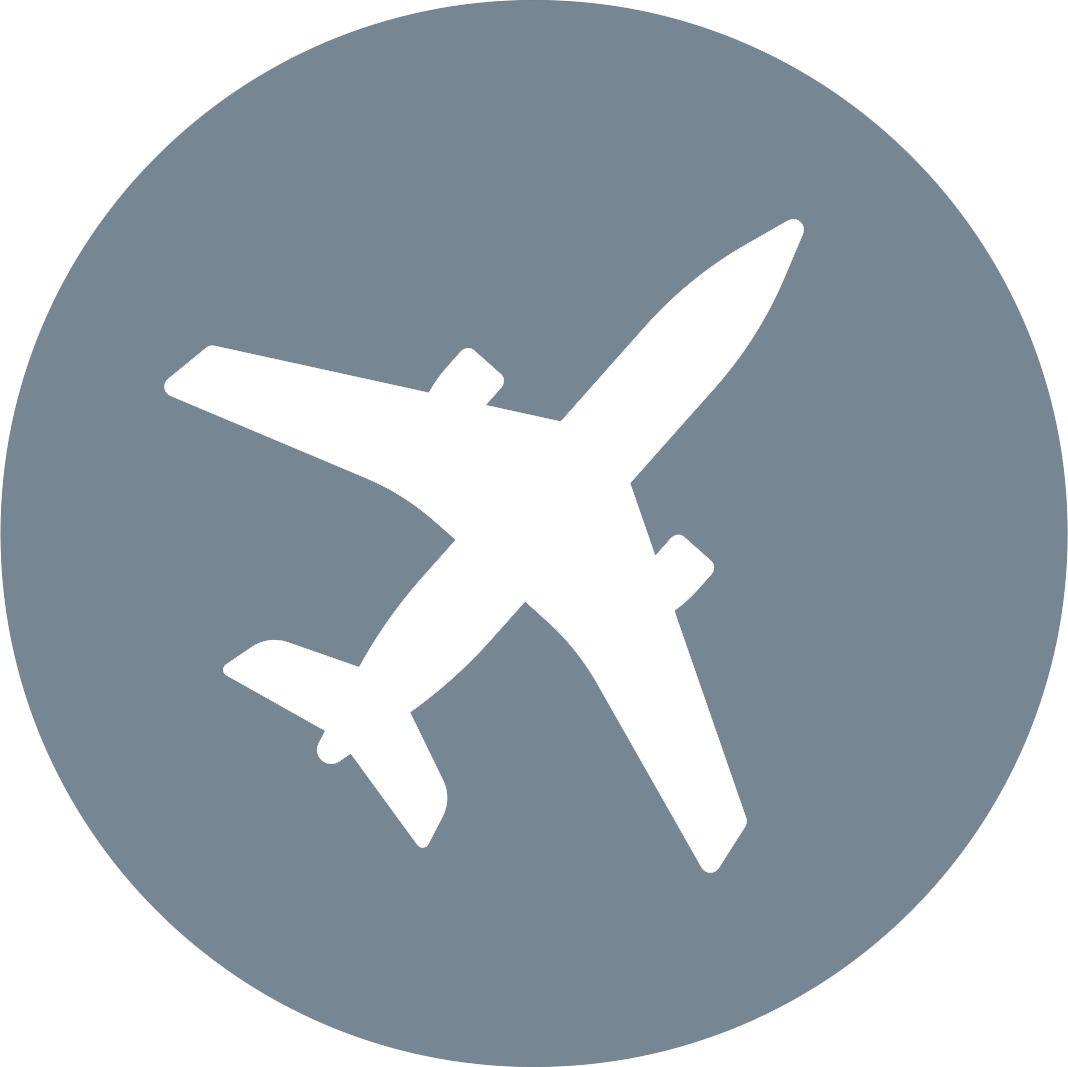 Bizjet Icon Gray